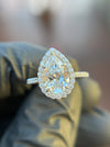 French Pavé Halo Cathedral Engagement Ring — original photograph 1