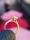 Tapered Pavé Hidden Halo Engagement Ring — original photograph 2