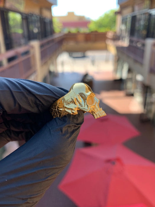Skull Ring — original photograph 3
