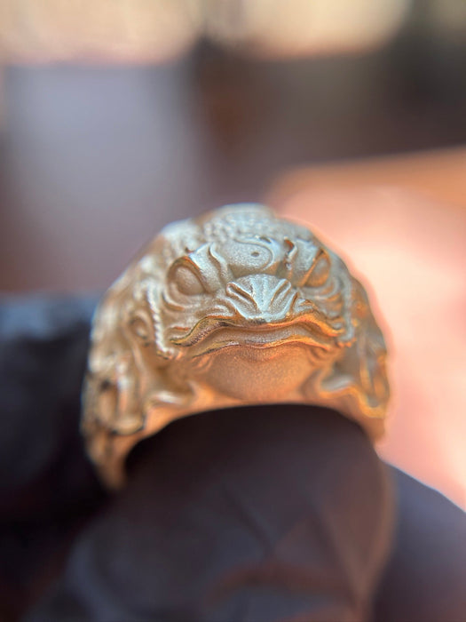 Money Frog Ring — original photograph 5