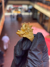 Prosperous Dragon Head Ring — original photograph 2