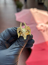 Bighorn Sheep Skull Ring — original photograph 1