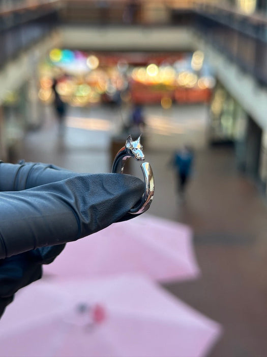 Doberman Ring — original photograph 1
