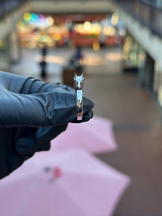 Doberman Ring — original photograph 2