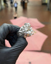 Medusa's Gaze Ring — original photograph 3