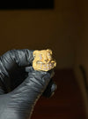 Cashed Squirrel Ring — original photo