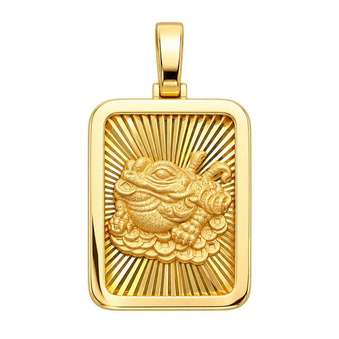 Diamond-Cut Money Frog Rectangular Pendant — polished yellow gold on transparent background