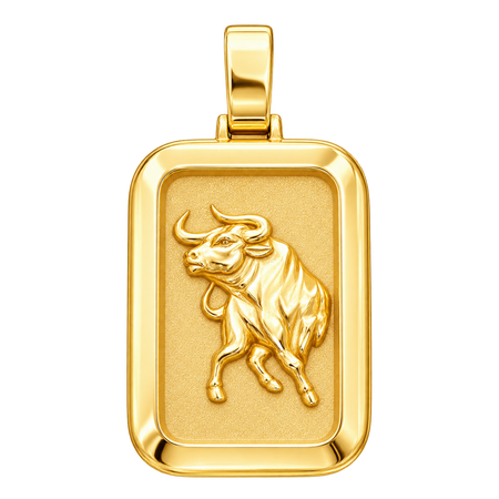 Ox Rectangular Pendant — polished yellow gold on transparent background