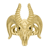 Bighorn Sheep Skull Ring — generated studio view