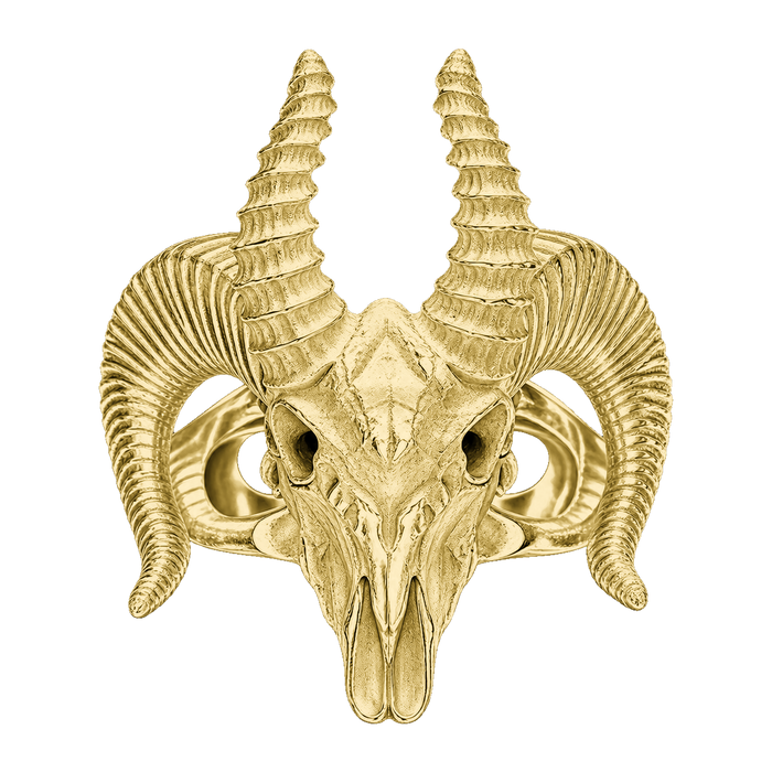 Bighorn Sheep Skull Ring — generated studio view