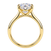 Cathedral Basket Solitaire Engagement Ring — generated studio view