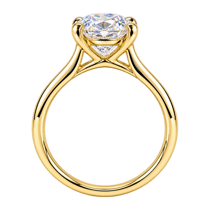 Cathedral Basket Solitaire Engagement Ring — generated studio view