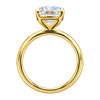 Classic Basket Solitaire Engagement Ring — generated studio view
