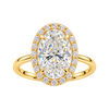 Classic Halo Solitaire Engagement Ring — generated studio view