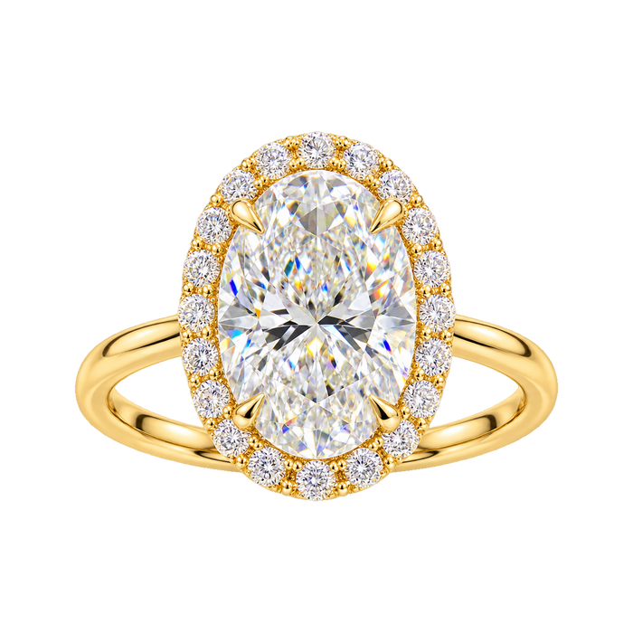 Classic Halo Solitaire Engagement Ring — generated studio view