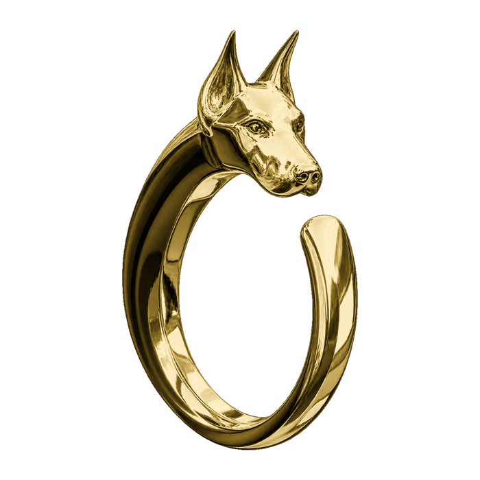 Doberman Ring — generated studio view