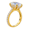 French Pavé Cathedral Hidden Halo Engagement Ring — generated studio view