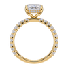 French Pavé Hidden Halo Engagement Ring — generated studio view