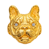 Frenchy Ring — generated studio view