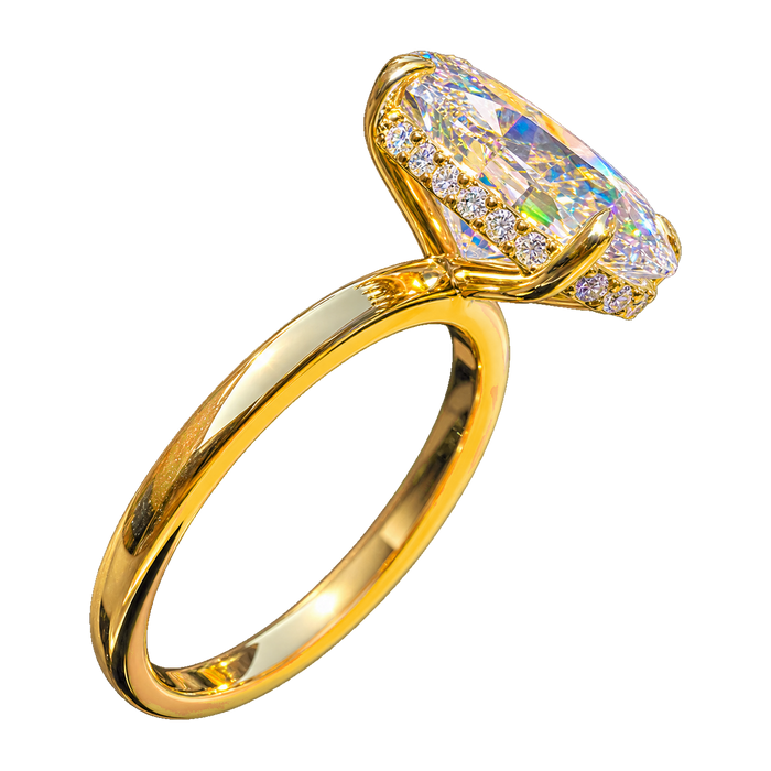 Hidden Halo Basket Solitaire Engagement Ring — generated studio view
