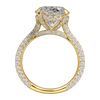 Pavé Cathedral Hidden Halo Engagement Ring — generated studio view