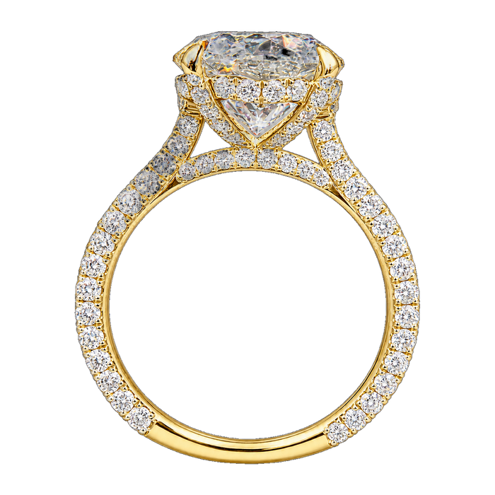 Pavé Cathedral Hidden Halo Engagement Ring — generated studio view