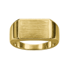 Rectangular Signet Ring — generated studio view