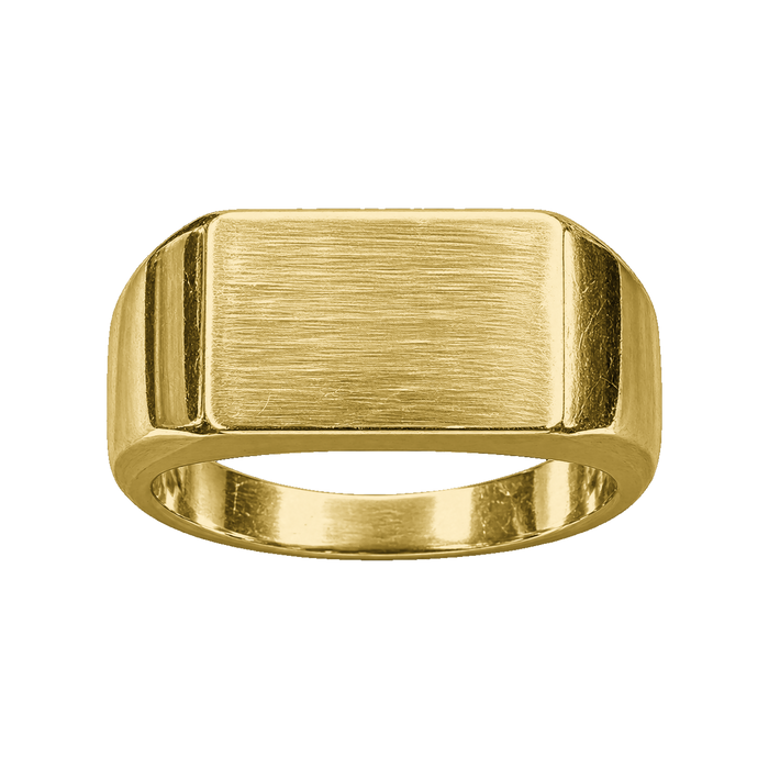 Rectangular Signet Ring — generated studio view