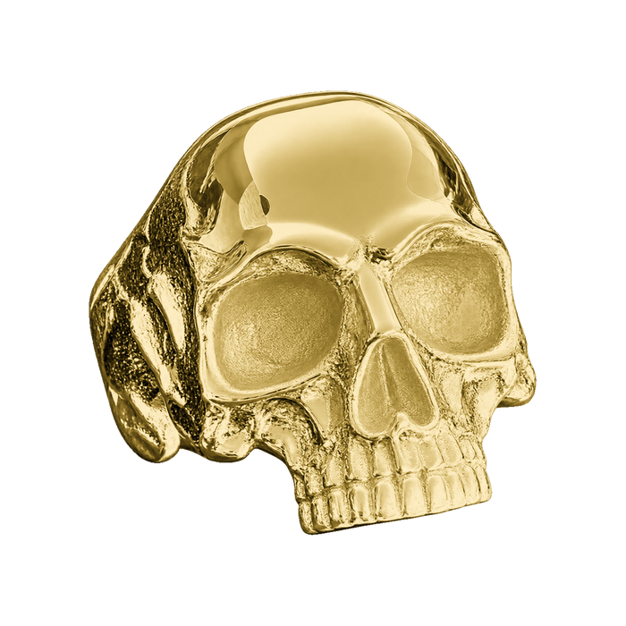 Skull Ring — generated studio view
