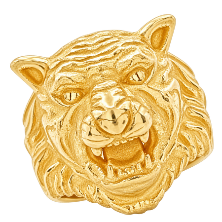 Tiger Ring — polished yellow gold studio view